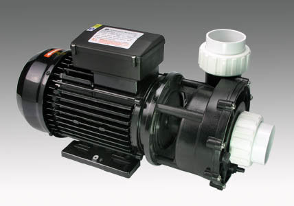 WP 200-II  2 speed main spa pool pump